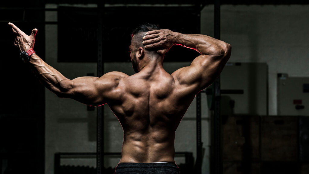 Rear View Of Body Builder