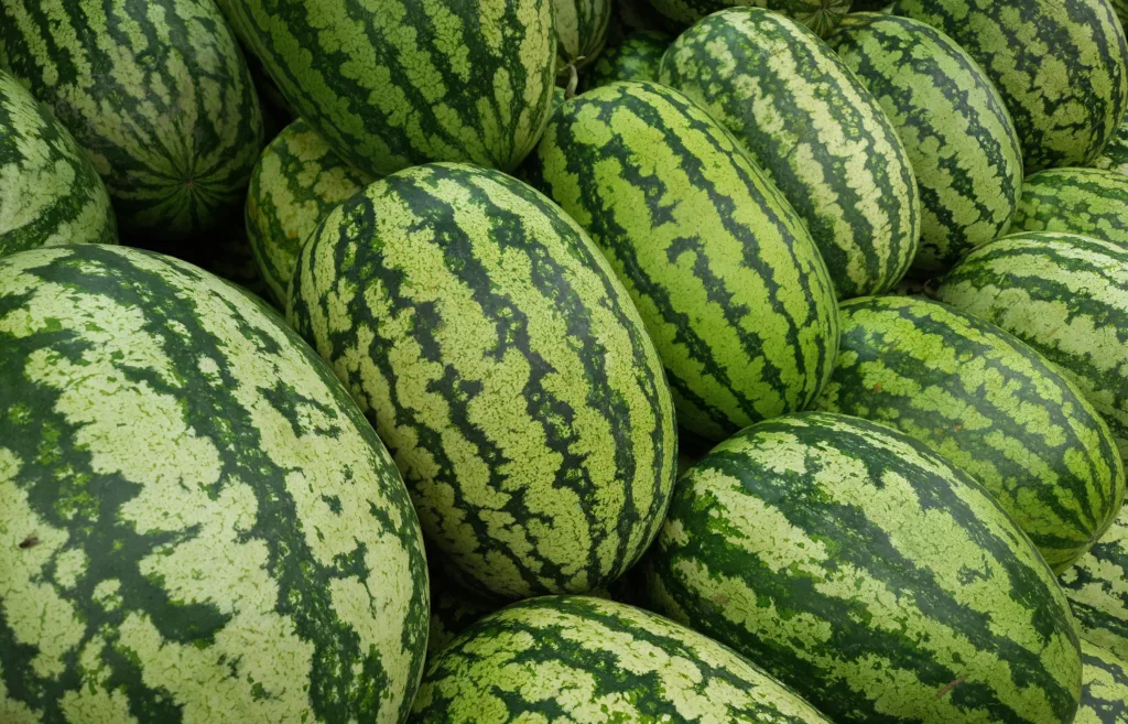 Watermelon