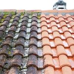 How to Identify When Your Roof Needs Cleaning: Signs to Look For